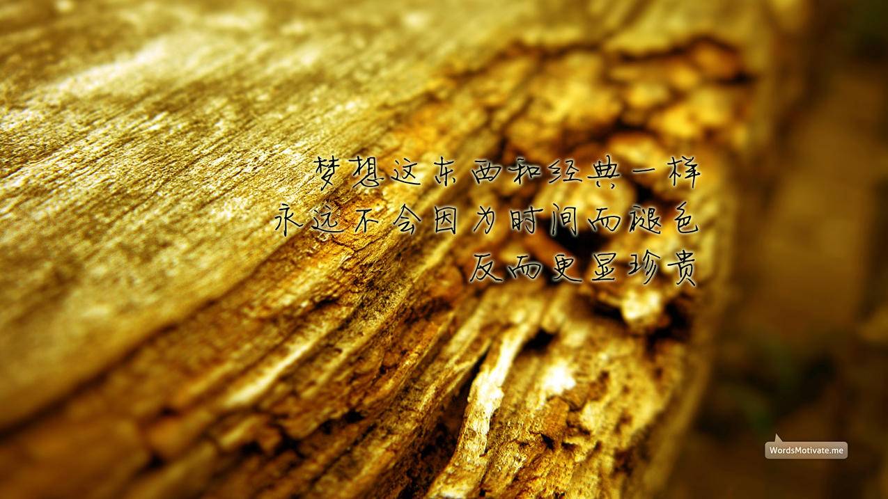在线观看快手短视频,全网最低价24小时自助下单软件,1000自助下单平台